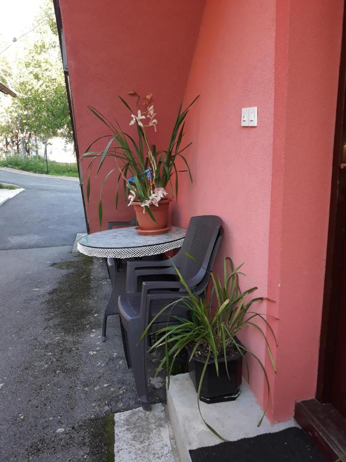 Apartament Biljevina Saborsko Zewnętrze zdjęcie
