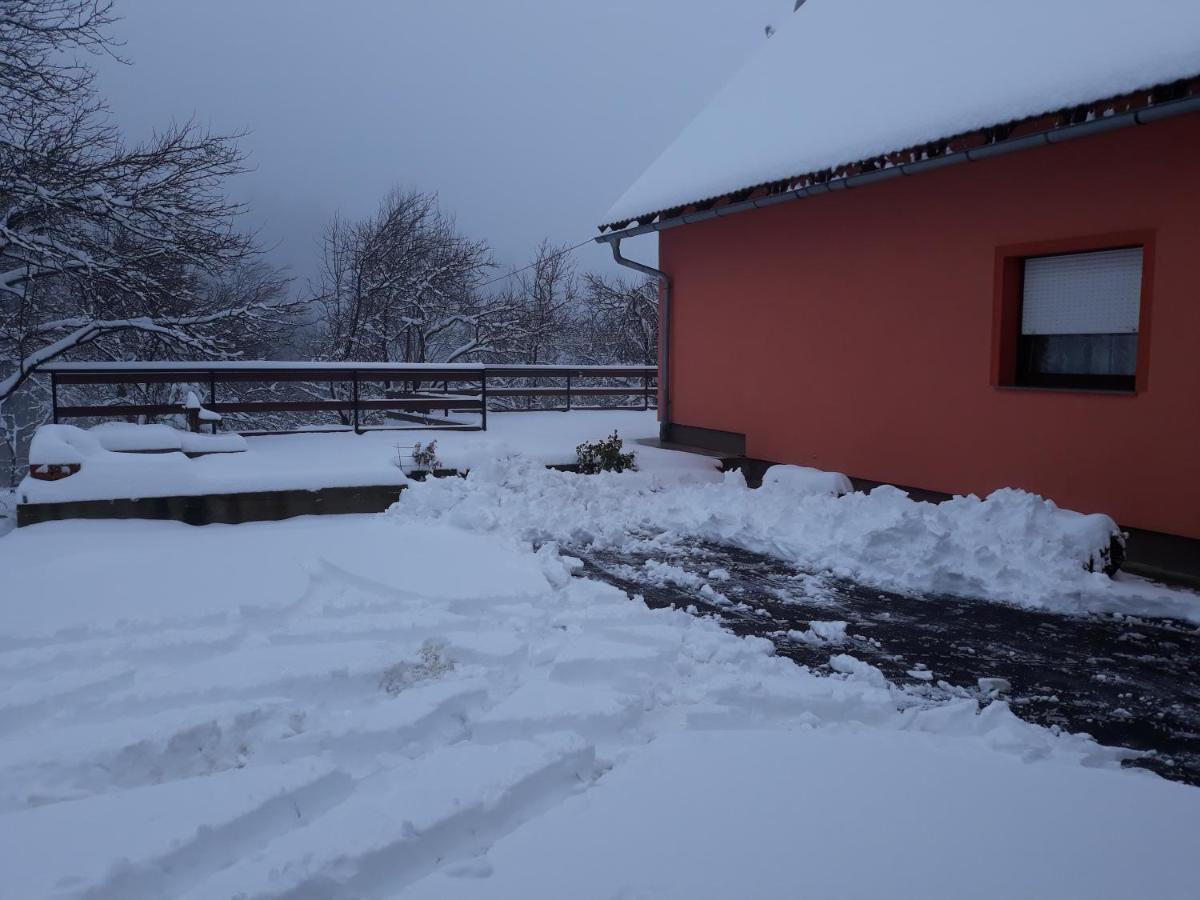 Apartament Biljevina Saborsko Zewnętrze zdjęcie