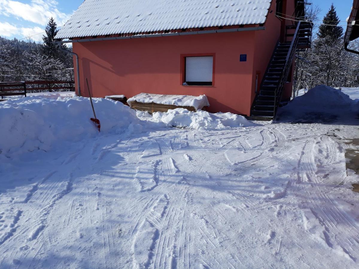 Apartament Biljevina Saborsko Zewnętrze zdjęcie