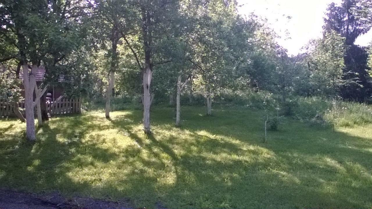Apartament Biljevina Saborsko Zewnętrze zdjęcie